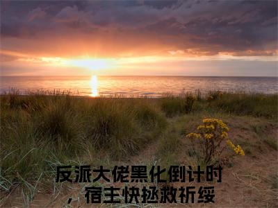 反派大佬黑化倒计时，宿主快拯救祈绥全文小说（反派大佬黑化倒计时，宿主快拯救祈绥）-完结版热文反派大佬黑化倒计时，宿主快拯救祈绥小说免费阅读