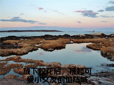 放下校花后，被超可爱小女友倒追陈域(放下校花后，被超可爱小女友倒追陈域)全文免费阅读无弹窗大结局_(放下校花后，被超可爱小女友倒追陈域)放下校花后，被超可爱小女友倒追陈域全文免费完结版阅读(放下校花后，被超可爱小女友倒追陈域)