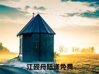江砚舟陆漾全文免费阅读无弹窗大结局-江砚舟陆漾全文在线阅读