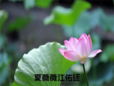 夏薇薇江佑廷（夏薇薇江佑廷小说)全文免费阅读无弹窗大结局_夏薇薇江佑廷全文免费阅读_笔趣阁