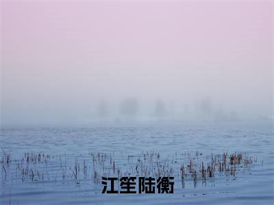江笙陆衡最新章节（江笙陆衡）小说推荐阅读-新书江笙陆衡精彩阅读