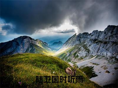 主角是陆卫国时听雨的小说-（陆卫国时听雨）完整章节阅读