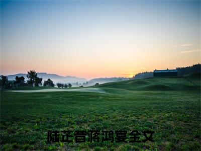 陆芷昔蒋鸿宴(陆芷昔蒋鸿宴)小说免费下载全本-陆芷昔蒋鸿宴（陆芷昔蒋鸿宴完整版）免费阅读无弹窗（陆芷昔蒋鸿宴）