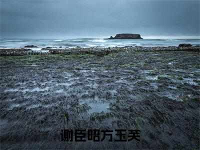 谢臣昭方玉芙高质量热文推荐试读-谢臣昭方玉芙完整章节阅读