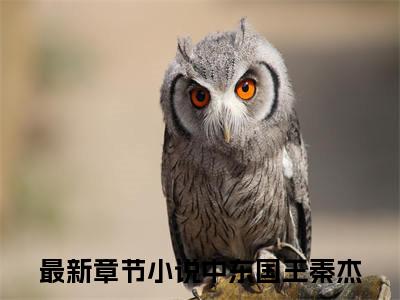 中东国王秦杰全文免费阅读（中东国王秦杰小说）全文免费阅读无弹窗大结局_(中东国王秦杰小说小说免费阅读)最新章节列表_（中东国王秦杰）