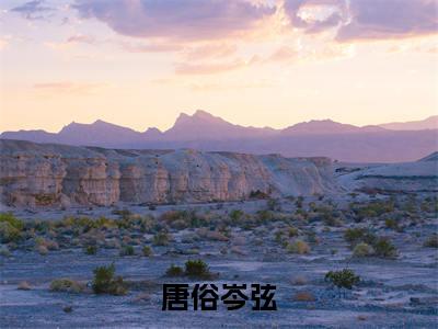 今日阅读更新唐俗岑弦-唐俗岑弦全文免费完整版