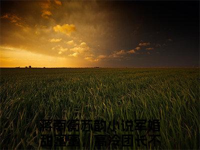 蒋南衡苏韵军婚甜蜜蜜，高冷团长不好撩全文免费阅读无弹窗大结局_（军婚甜蜜蜜，高冷团长不好撩）最新章节列表_笔趣阁（蒋南衡苏韵小说）