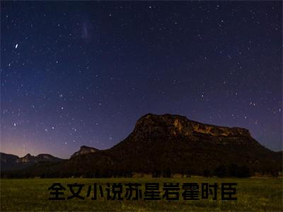 苏星岩霍时臣（苏星岩霍时臣）全文免费阅读无弹窗大结局_苏星岩霍时臣小说免费阅读苏星岩霍时臣最新章节列表_笔趣阁（苏星岩霍时臣）