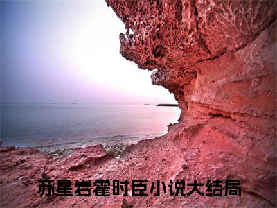 苏星岩霍时臣(苏星岩霍时臣)全文免费阅读无弹窗大结局_苏星岩霍时臣小说免费阅读全文大结局最新章节列表_笔趣阁