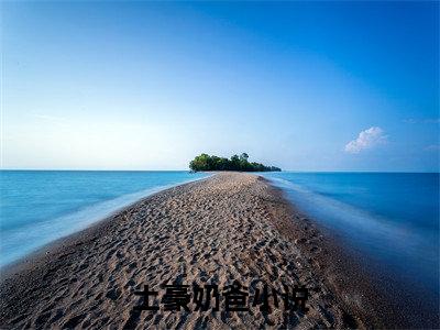 楚默楚小雨(土豪奶爸)抖音热推小说全集无删减_(土豪奶爸免费阅读全文大结局)最新章节列表_笔趣阁