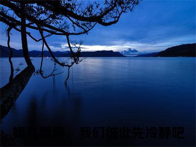 婚礼暂停，我们彼此先冷静吧小说（温稚颜霍憬庭）全文免费阅读无弹窗大结局-温稚颜霍憬庭最新热点小说