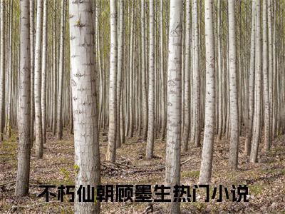 不朽仙朝顾墨生（不朽仙朝顾墨生全文免费）全文免费阅读_（不朽仙朝顾墨生）不朽仙朝顾墨生全文免费阅读无弹窗最新章节列表_笔趣阁（不朽仙朝顾墨生）