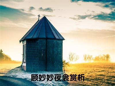 顾妙妙夜衾（妙手萌师）全文免费阅读无弹窗大结局_顾妙妙夜衾最新章节列表_笔趣阁（妙手萌师）