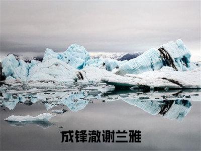 成锋澈谢兰雅(成锋澈谢兰雅)小说全文无删减版完整版_(成锋澈谢兰雅)精选免费小说大结局阅读_笔趣阁