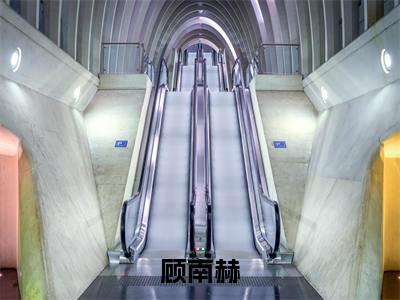 顾南赫（七年之痒，一朝穿越）全文免费阅读无弹窗大结局_顾南赫全文免费阅读无弹窗最新章节列表笔趣阁（七年之痒，一朝穿越）