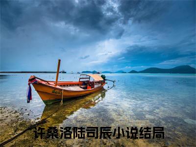 许桑洛陆司辰已完结全集大结局小说-热门小说（许桑洛陆司辰）最新章节阅读