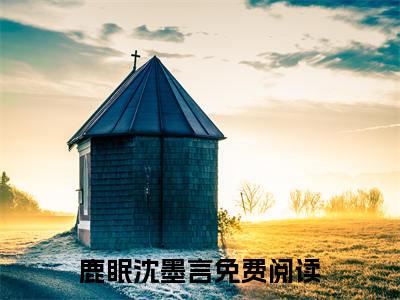 【新书】《鹿眠沈墨言》鹿眠沈墨言全文全章节免费阅读