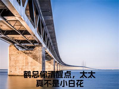 鹤闻殊温皎（鹤总你清醒点，太太真不是小白花）全文免费阅读_鹤闻殊温皎最新章节小说免费阅读_笔趣阁