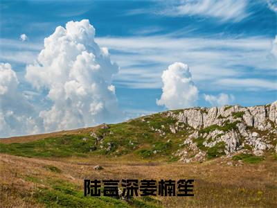微小说（陆言深姜楠笙）-（陆言深姜楠笙）全文免费阅读