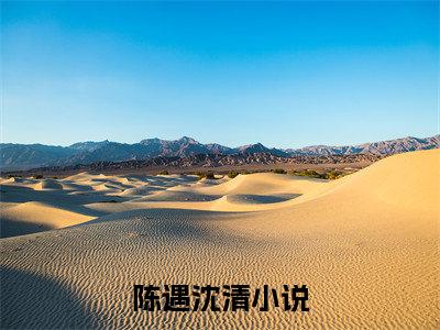 陈遇沈清（陈遇沈清）全文免费阅读无弹窗大结局_(陈遇沈清免费阅读)陈遇沈清无弹窗最新章节列表_笔趣阁（陈遇沈清）