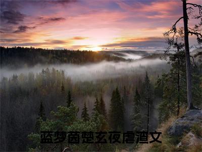 蓝梦茵楚玄夜（蓝梦茵楚玄夜）全文免费阅读无弹窗_蓝梦茵楚玄夜最新小说_笔趣阁（蓝梦茵楚玄夜）