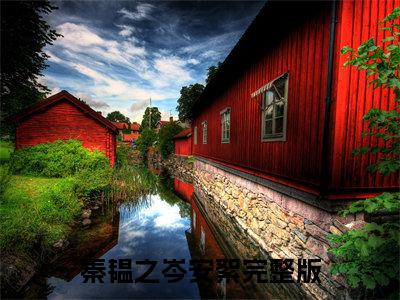 秦韫之岑安絮免费小说 秦韫之岑安絮在线阅读免费大结局