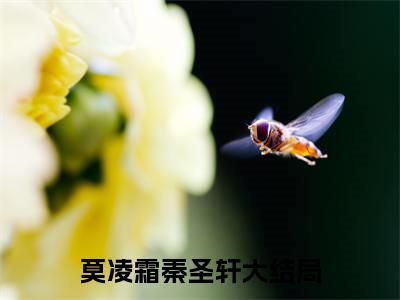 莫凌霜秦圣轩无广告小说正版在线阅读,莫凌霜秦圣轩全文在线阅读大结局