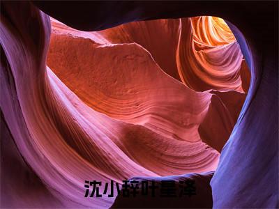 沈小辞叶星泽小说（沈小辞叶星泽）全文免费阅读无弹窗沈小辞叶星泽全文免费阅读无弹窗最新章节列表_笔趣阁