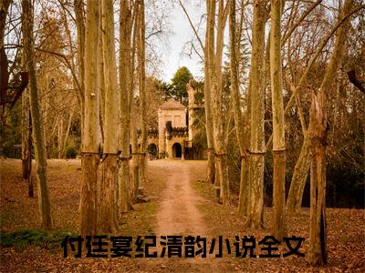 付廷宴纪清韵（付廷宴纪清韵）全文免费阅读无弹窗大结局-付廷宴纪清韵最新章节列表免费阅读