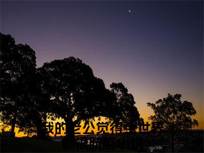 沐芷晴靳时川（我的老公觉得全世界都很肮脏）小说免费阅读-沐芷晴靳时川（我的老公觉得全世界都很肮脏）已完结全集大结局小说