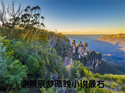 （谢景辰梦晴晚小说）谢景辰梦晴晚小说免费最新章节列表_笔趣阁（谢景辰梦晴晚小说）