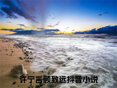 许宁言顾致远小说（重生七零嫁大佬，娇娇一胎又一胎）免费阅读_许宁言顾致远小说免费阅读-笔趣阁