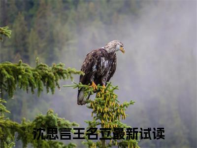 穿成七十年代懒汉妻（沈思言王名立）全文免费阅读无弹窗大结局_穿成七十年代懒汉妻免费阅读无弹窗最新章节列表_笔趣阁