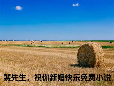 黎悠然裴言澈小说全文免费阅读无弹窗大结局-（裴先生，祝你新婚快乐免费阅读无弹窗）黎悠然裴言澈最新章节列表笔趣阁