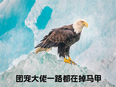 云时谙叶清晚（团宠大佬一路都在掉马甲）小说全文免费阅读无弹窗_（团宠大佬一路都在掉马甲）最新章节列表_笔趣阁