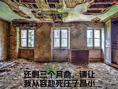 还剩三个月命，请让我从容赴死庄子昂全文免费阅读无弹窗大结局_（还剩三个月命，请让我从容赴死庄子昂）全文在线阅读大结局