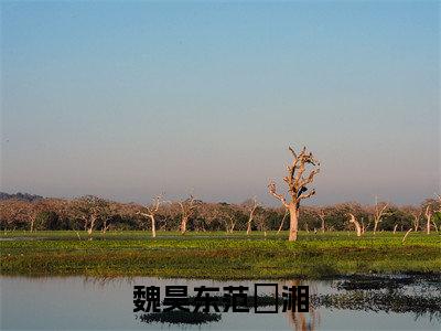 魏昊东范珺湘小说全文-魏昊东范珺湘小说免费阅读大结局