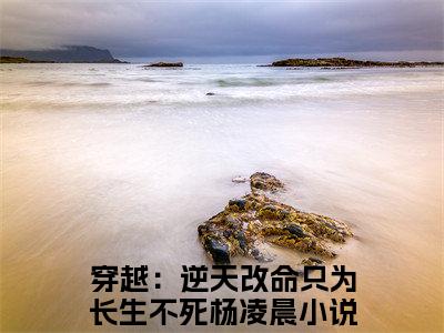 穿越：逆天改命只为长生不死杨凌晨小说小说全文免费阅读（穿越：逆天改命只为长生不死杨凌晨）全文免费穿越：逆天改命只为长生不死杨凌晨读无弹窗大结局