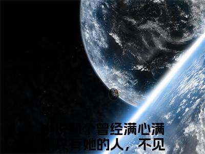 顾南辰沈白意小说免费阅读全文小说那个曾经满心满眼只有她的人，不见了全章节阅读