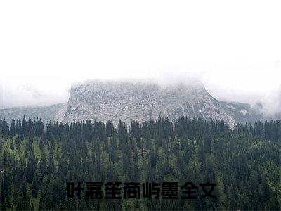 2023年精选好书（叶嘉笙商屿墨），叶嘉笙商屿墨全文无删减版在线阅读