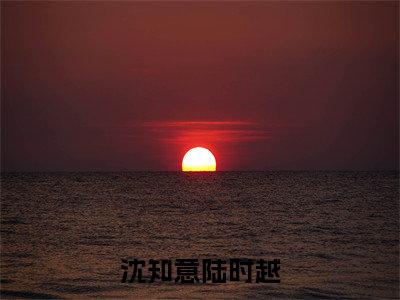 沈知意陆时越（沈知意陆时越全章节完整版）免费阅读_沈知意陆时越（沈知意陆时越）最新章节列表笔趣阁（沈知意陆时越）