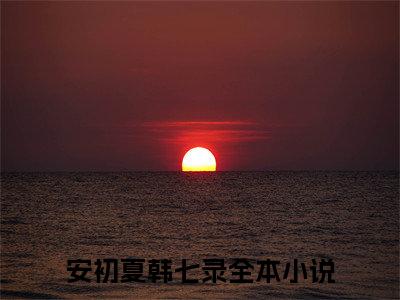 安初夏韩七录小说（安初夏韩七录）全文免费阅读_安初夏韩七录小说（安初夏韩七录）最新章节列表笔趣阁小说