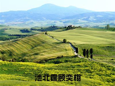 池北霆顾奕栩精选热门小说-池北霆顾奕栩免费全文阅读