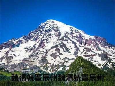 魏清妩晋辰州:魏清妩晋辰州（魏清妩晋辰州）全文免费阅读无弹窗大结局_魏清妩晋辰州:魏清妩晋辰州免费阅读