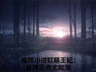 林霜儿夜北承（软萌王妃：战神王爷太能宠）小说全文免费阅读无弹窗大结局_（软萌王妃：战神王爷太能宠）林霜儿夜北承最新章节列表（林霜儿夜北承）