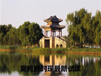 夏宛顾时琛小说（夏宛顾时琛）完整版大结局-夏宛顾时琛小说免费阅读