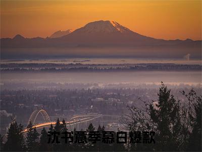 沈书意季慕白小说大结局免费阅读-季慕白沈书意抖音新上热文分享沈书意季慕白