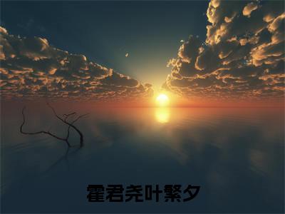 霍君尧叶繁夕(霍君尧叶繁夕)全文免费阅读无弹窗大结局_霍君尧叶繁夕最新章节列表_笔趣阁