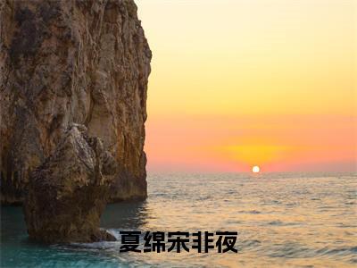 夏绵宋非夜（夏绵宋非夜）最新章节在线阅读-夏绵宋非夜小说夏绵宋非夜在哪里可以看