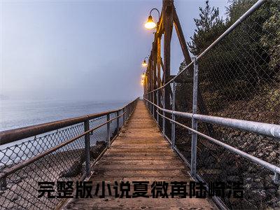 夏微苒陆崎浩完整版（夏微苒陆崎浩小说）全文免费阅读无弹窗大结局_夏微苒陆崎浩最新章节（夏微苒陆崎浩小说）